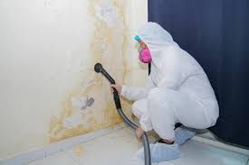 Mold Remediation for Vacation Homes in Mcmurray, PA